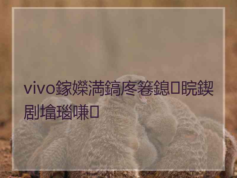 vivo鎵嬫満鎬庝箞鎴睆鍥剧墖瑙嗛