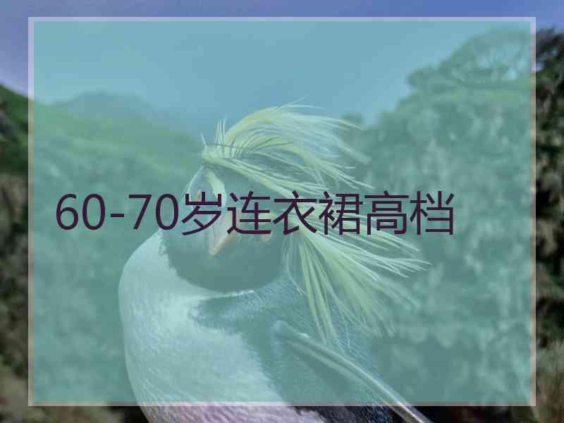 60-70岁连衣裙高档