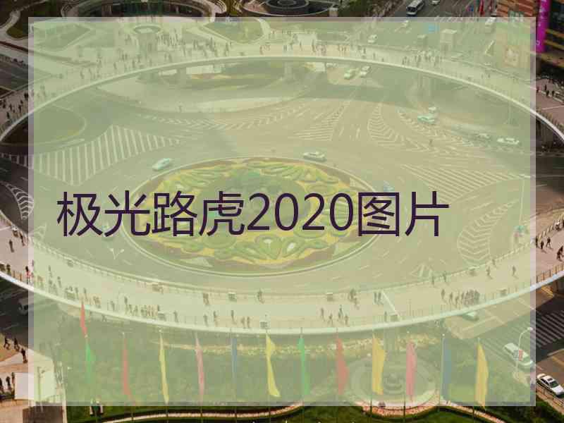 极光路虎2020图片