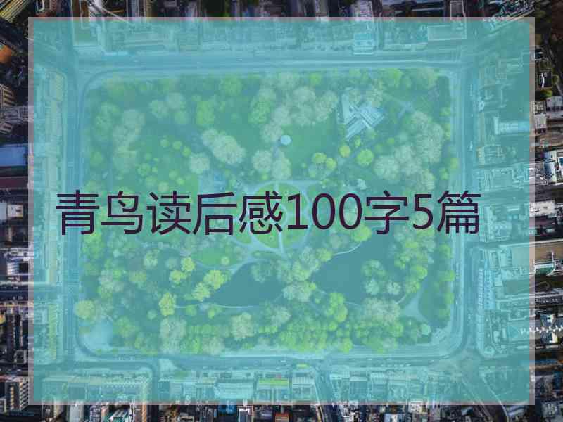 青鸟读后感100字5篇