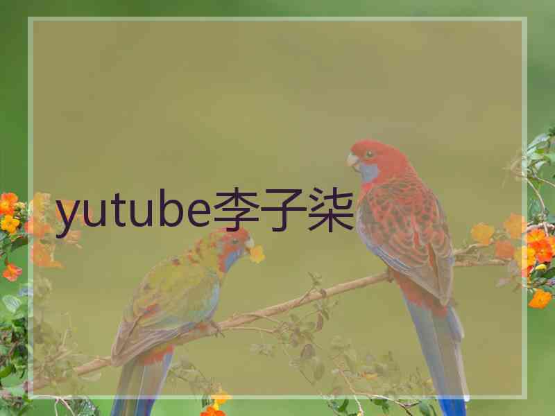 yutube李子柒