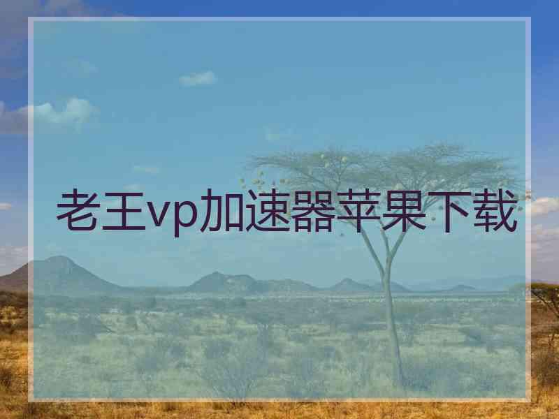 老王vp加速器苹果下载