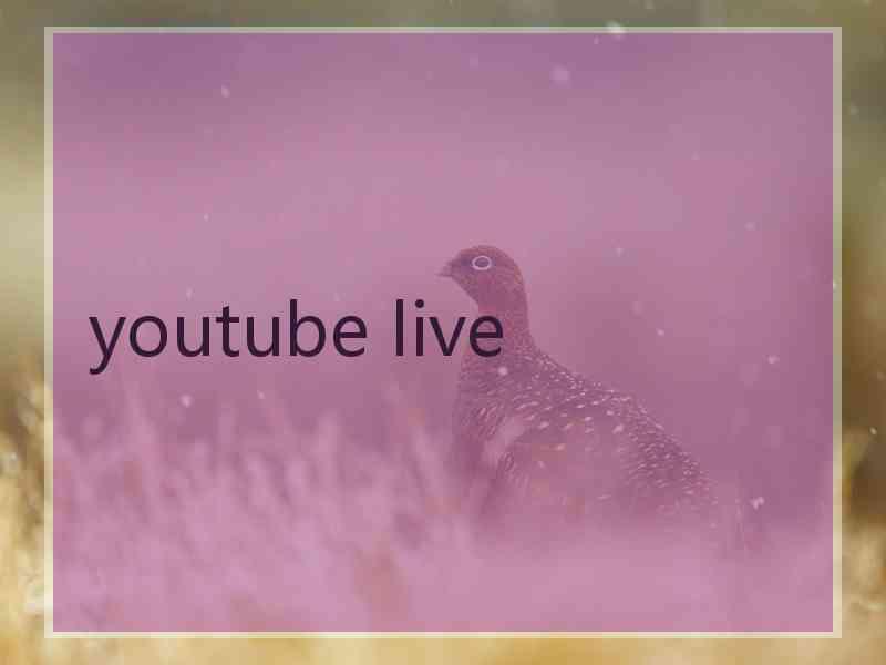 youtube live