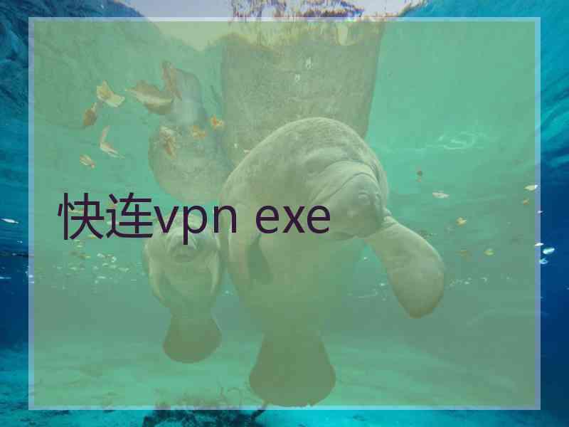 快连vpn exe