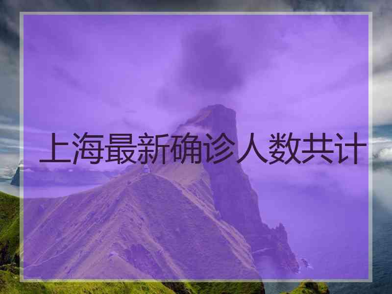 上海最新确诊人数共计