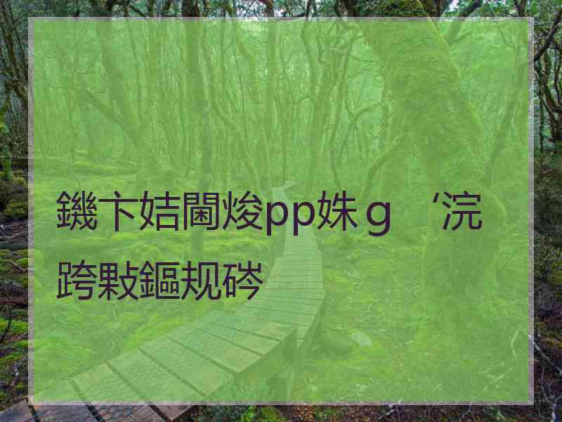 鐖卞姞閫焌pp姝ｇ‘浣跨敤鏂规硶