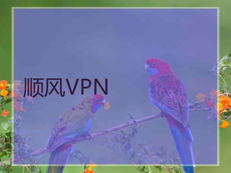 顺风VPN