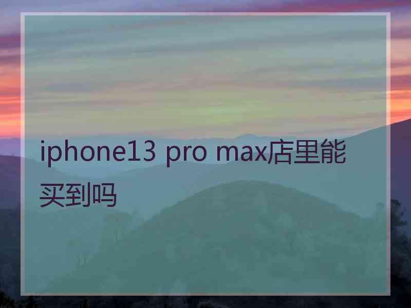 iphone13 pro max店里能买到吗