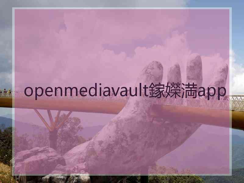 openmediavault鎵嬫満app