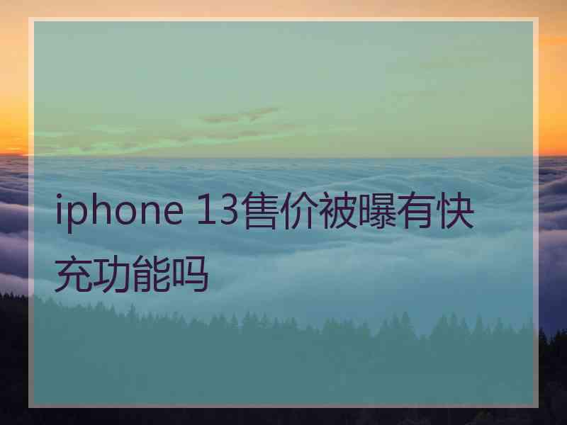 iphone 13售价被曝有快充功能吗