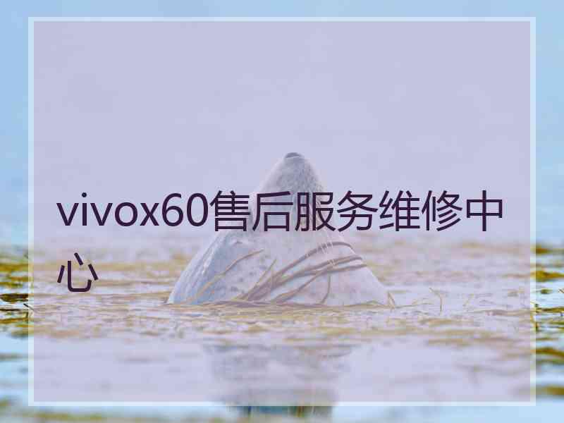 vivox60售后服务维修中心