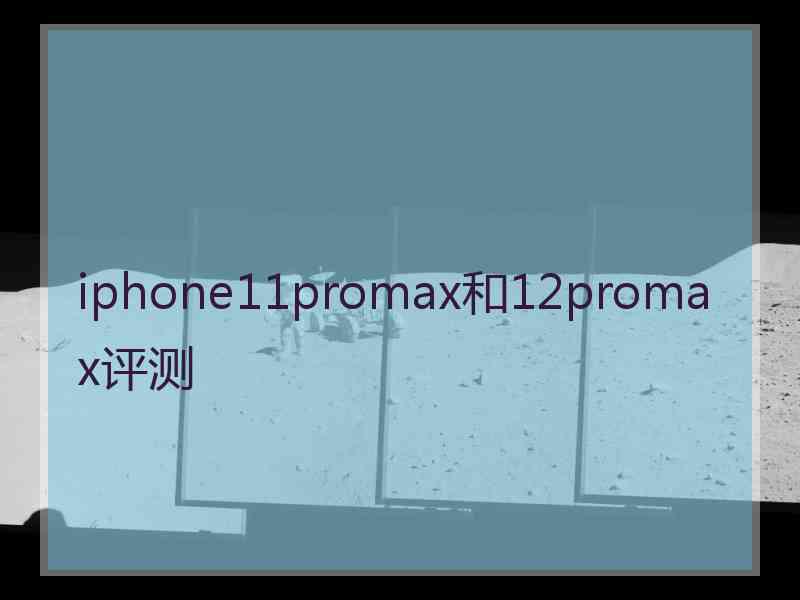 iphone11promax和12promax评测