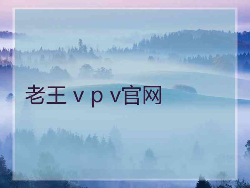 老王 v p v官网