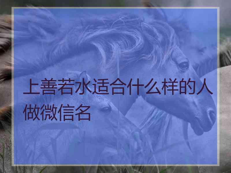 上善若水适合什么样的人做微信名