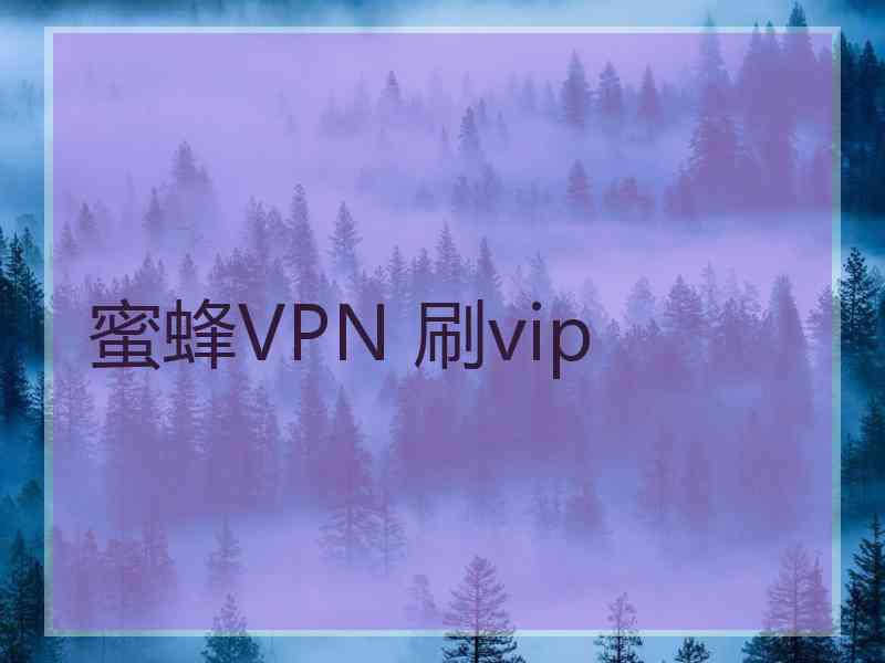 蜜蜂VPN 刷vip