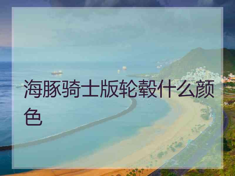 海豚骑士版轮毂什么颜色