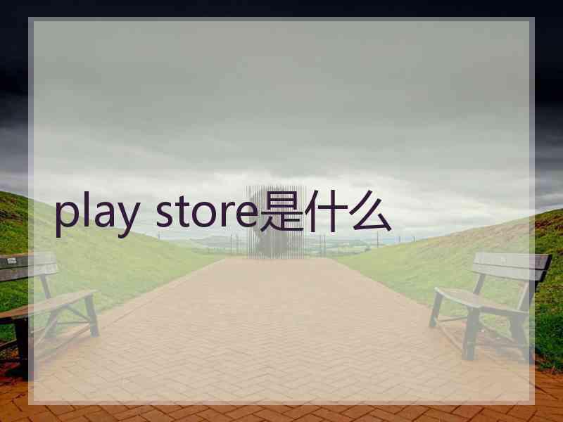 play store是什么