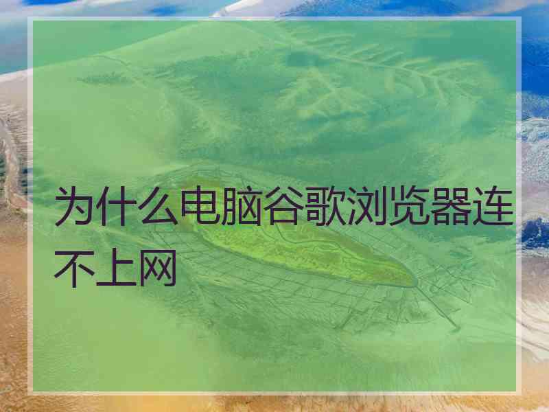 为什么电脑谷歌浏览器连不上网