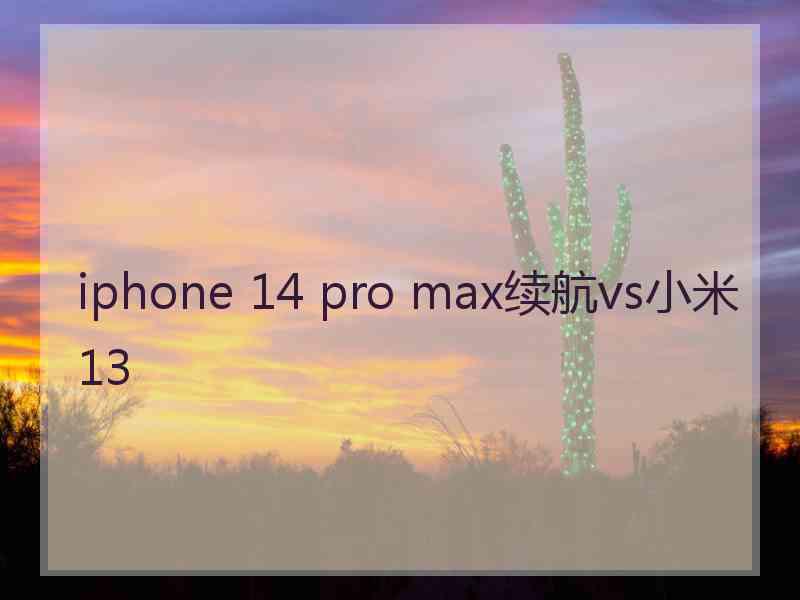 iphone 14 pro max续航vs小米13