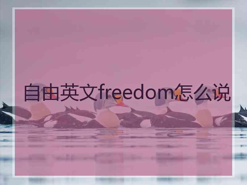 自由英文freedom怎么说