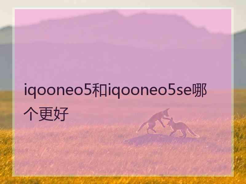 iqooneo5和iqooneo5se哪个更好