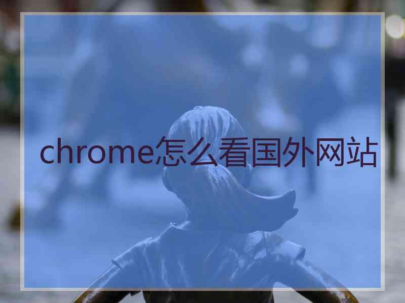 chrome怎么看国外网站