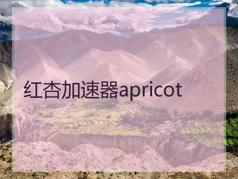 红杏加速器apricot