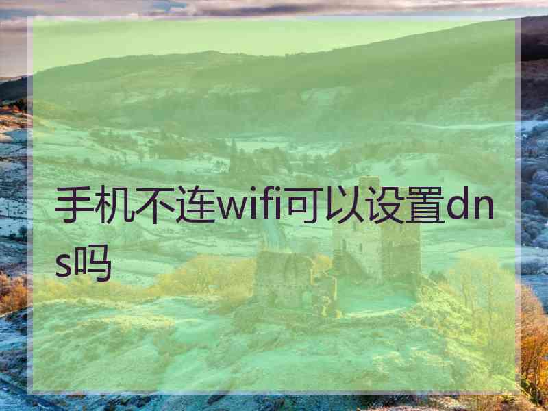 手机不连wifi可以设置dns吗