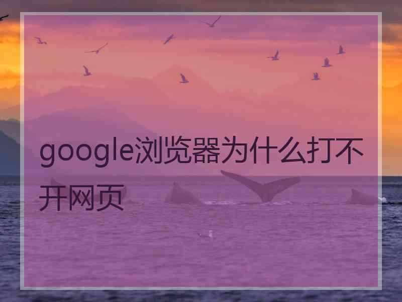 google浏览器为什么打不开网页