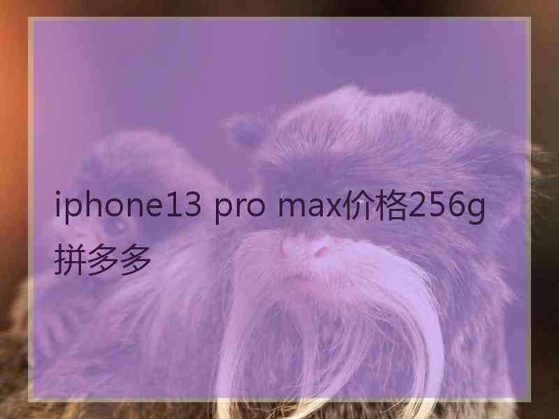 iphone13 pro max价格256g拼多多