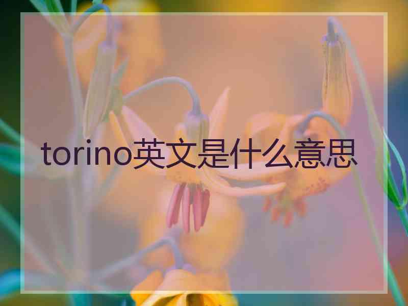 torino英文是什么意思