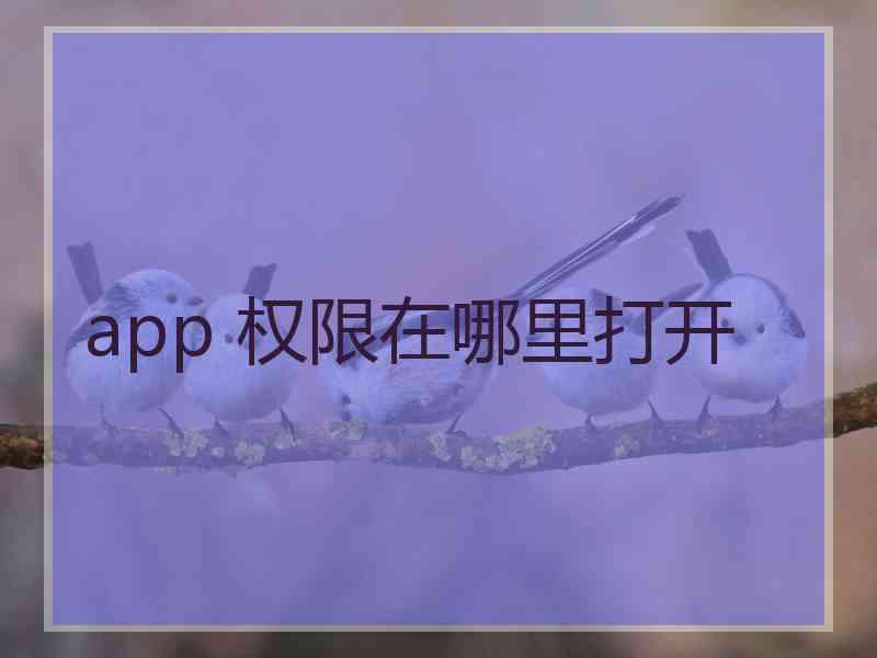 app 权限在哪里打开