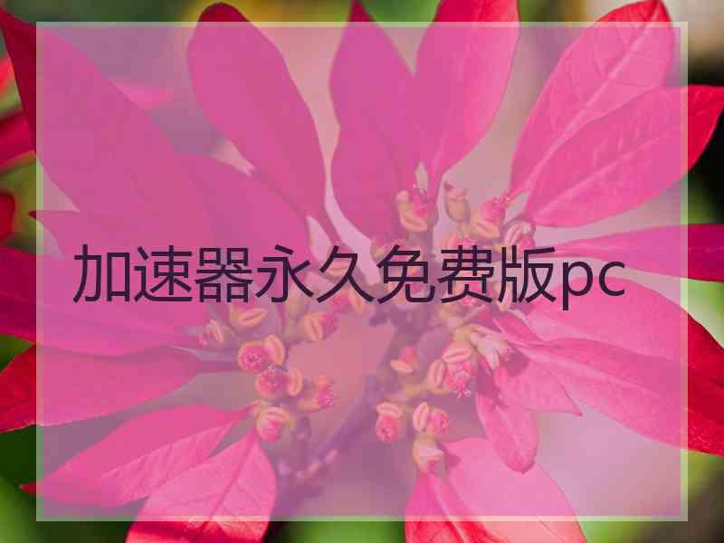 加速器永久免费版pc