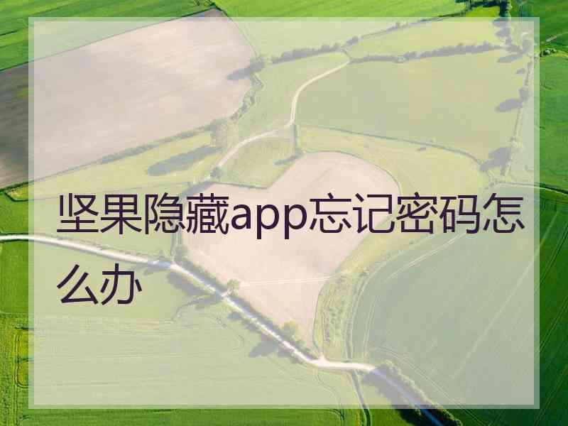 坚果隐藏app忘记密码怎么办