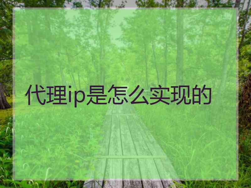 代理ip是怎么实现的