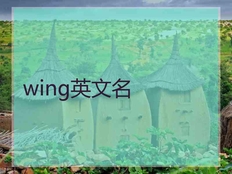 wing英文名