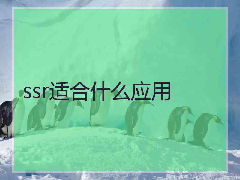 ssr适合什么应用