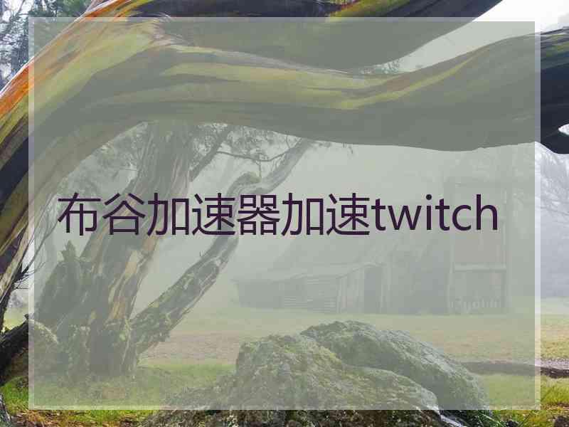 布谷加速器加速twitch