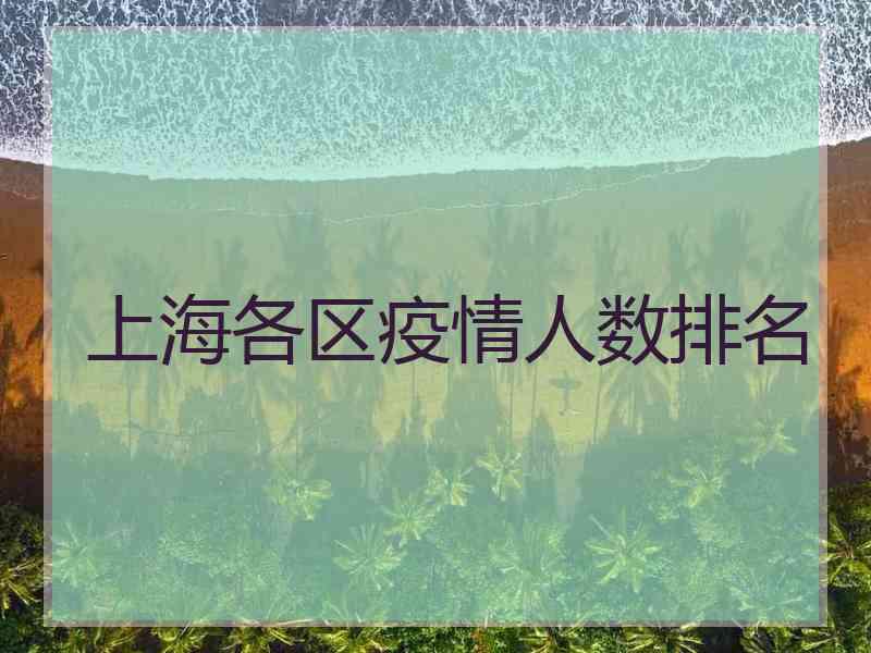 上海各区疫情人数排名