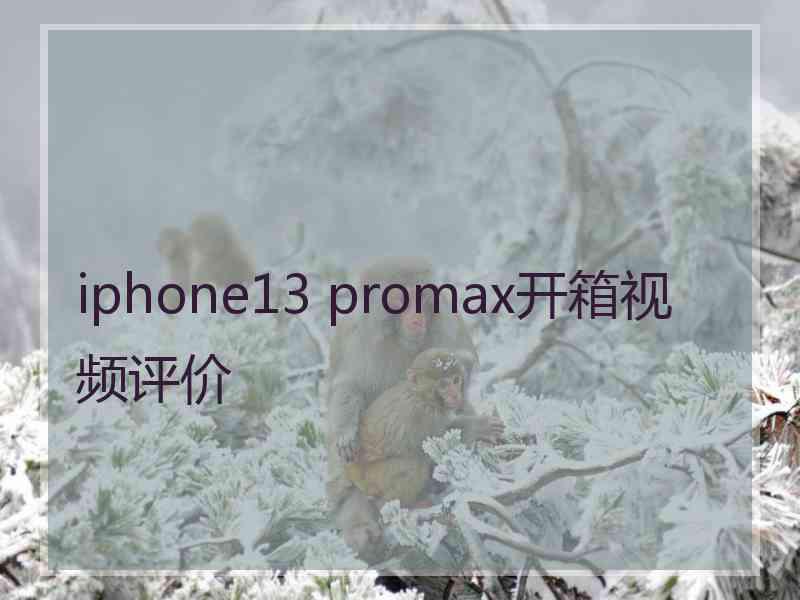 iphone13 promax开箱视频评价