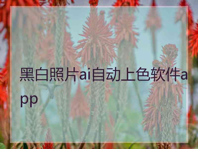 黑白照片ai自动上色软件app