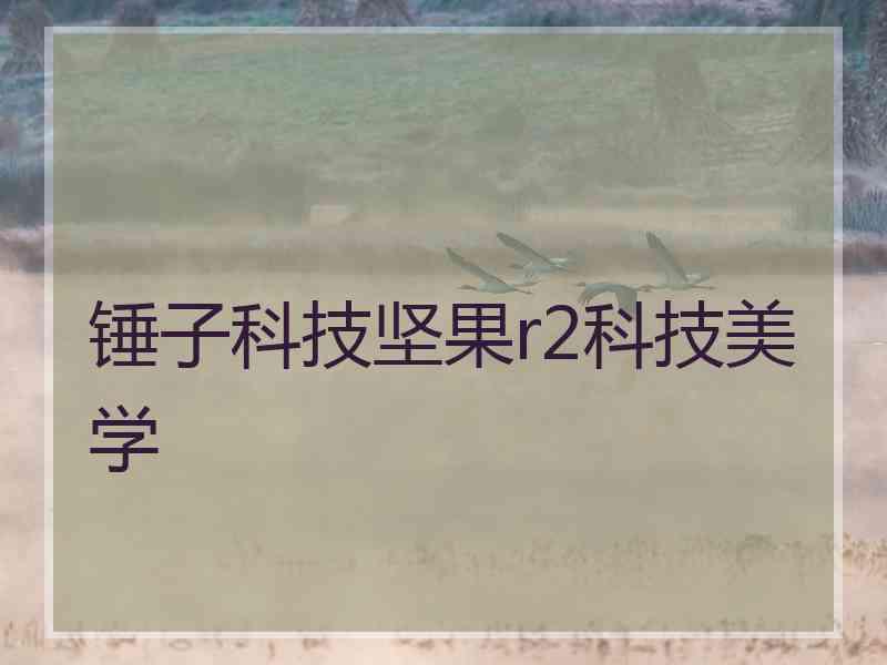 锤子科技坚果r2科技美学