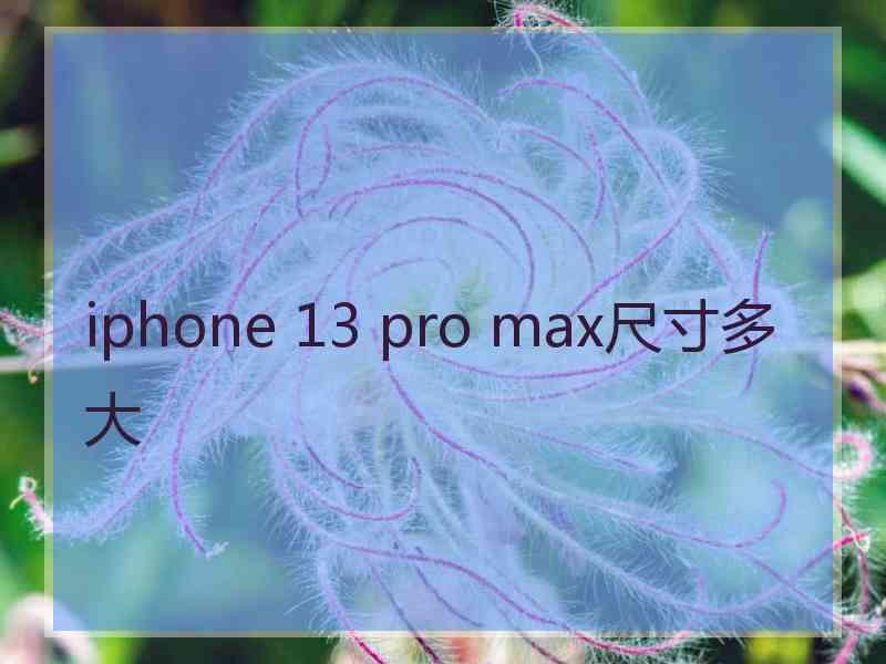 iphone 13 pro max尺寸多大