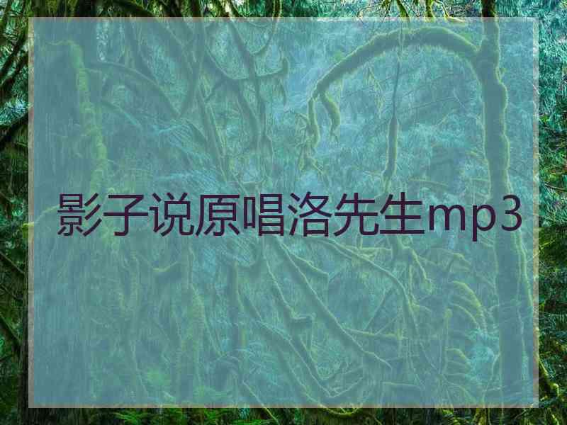 影子说原唱洛先生mp3