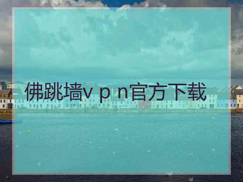 佛跳墙v p n官方下载