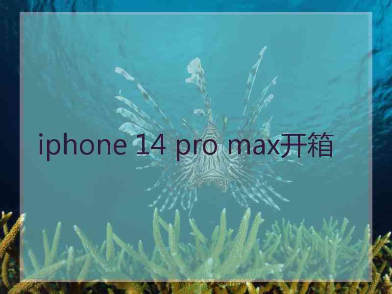 iphone 14 pro max开箱