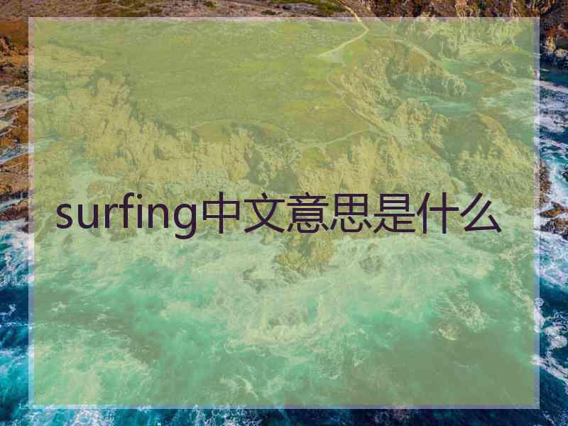 surfing中文意思是什么