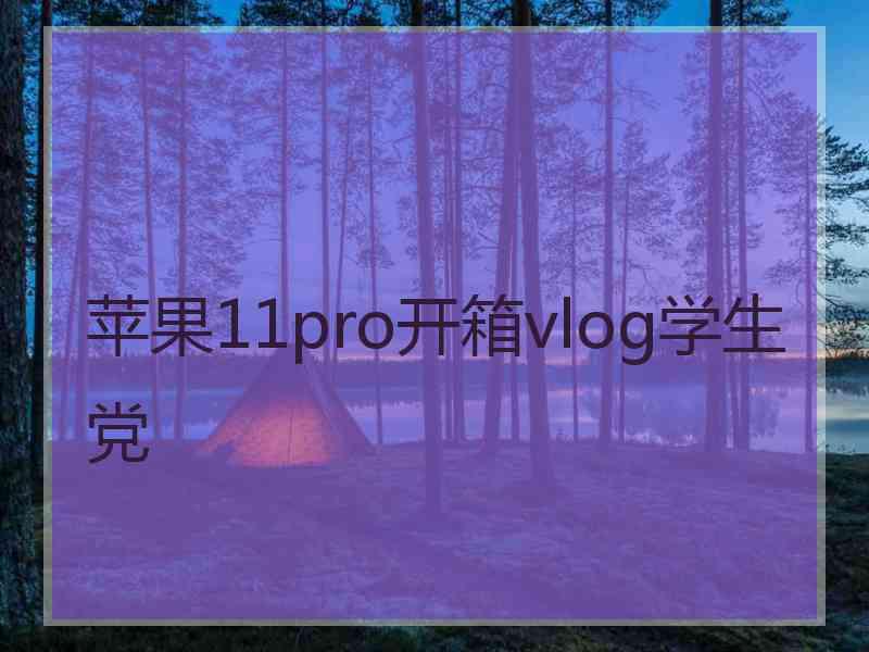 苹果11pro开箱vlog学生党