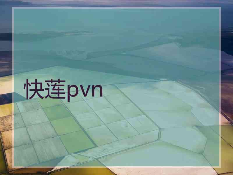 快莲pvn