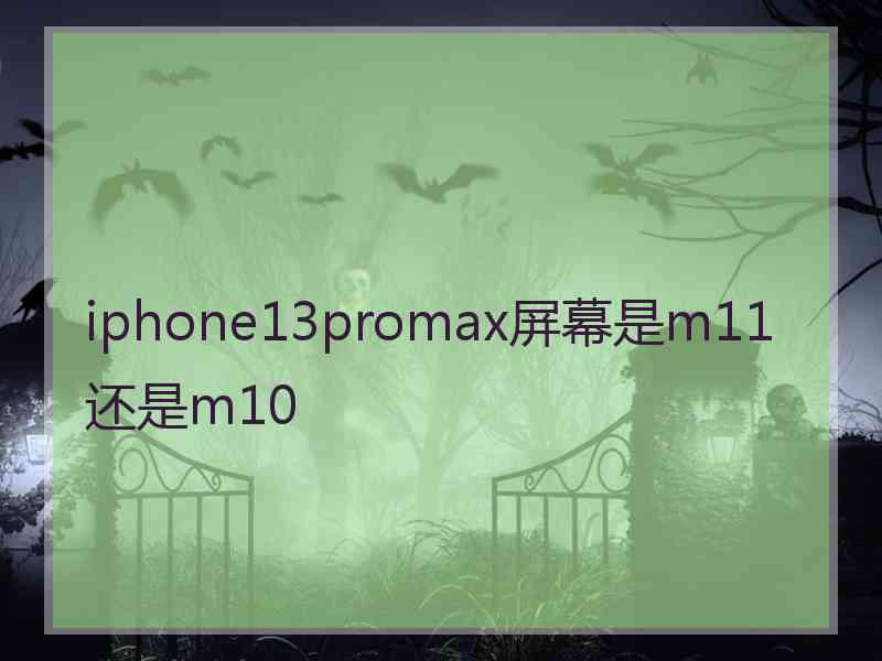 iphone13promax屏幕是m11还是m10